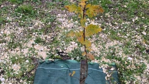 Témoignage d'un client en Gironde (33)